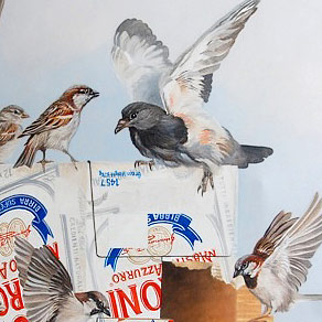 Craig Platt nz bird art